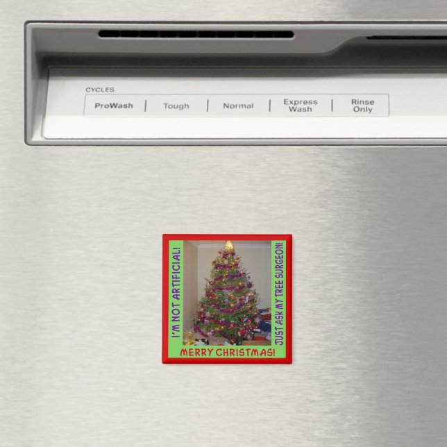Íman Uma verdadeira árvore de Natal (In Situ (Dishwasher))
