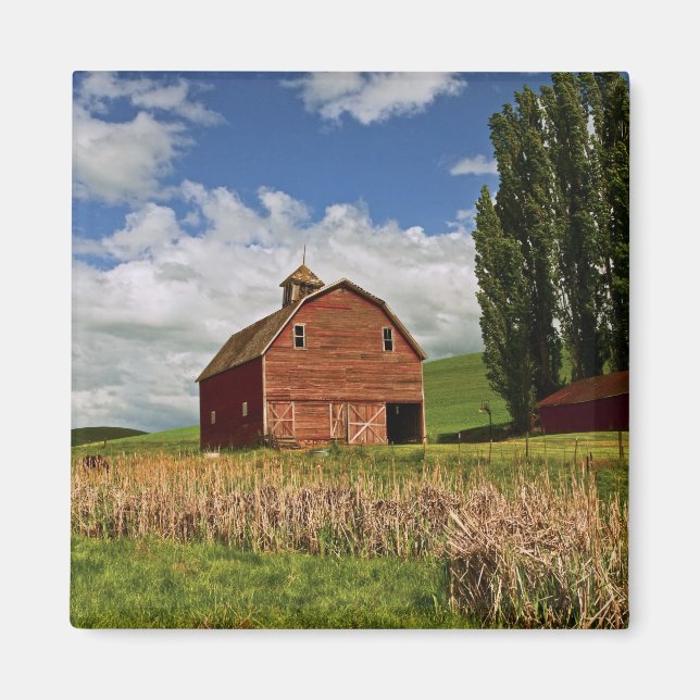 Íman Uma viagem pelo interior agrícola de Palouse (Frente)