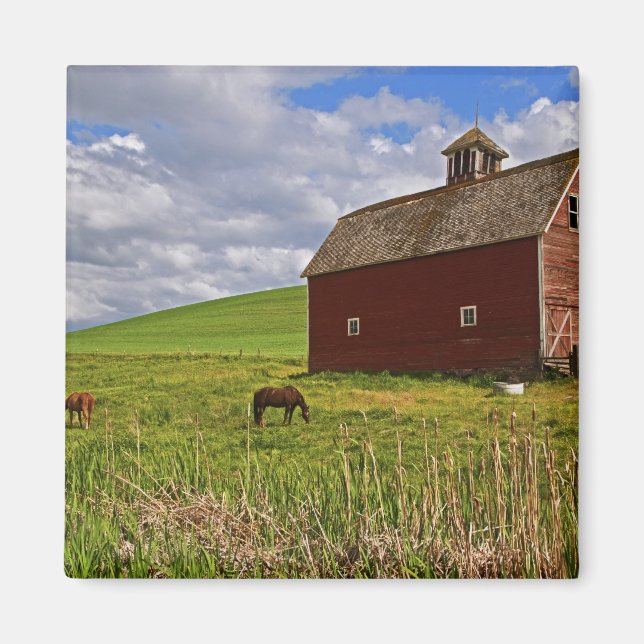 Íman Uma viagem pelo interior rural de Palouse 3 (Frente)