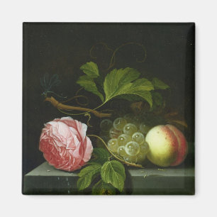 Íman Uma vida imóvel com um rosa, as uvas e o pêssego