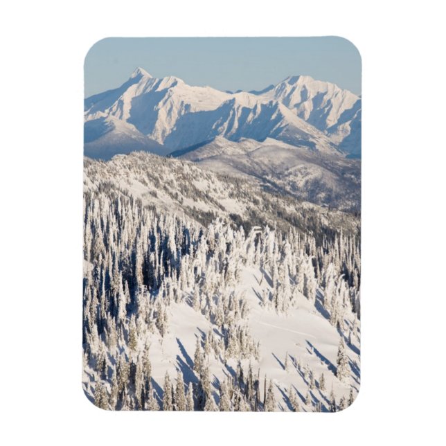 Íman Uma Visão Cênnica das Montanhas e Árvores Neves. (Vertical)