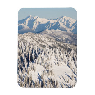 Íman Uma vista cénico de montanhas nevado e de árvore
