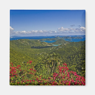 Íman Uma vista panorâmica da Baía de Cruse, St. John Il
