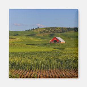 Íman Uma vista panorâmica de um celeiro em Moscow Idaho
