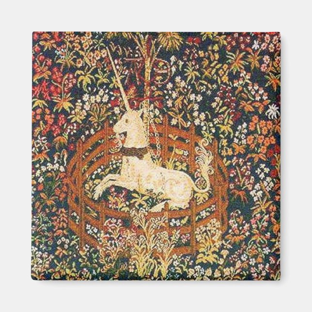 Íman unicórnio cativo (Frente)