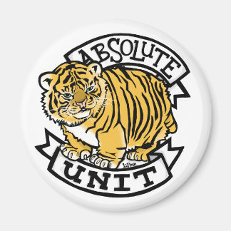 Íman Unidade absoluta no seu frigorífico