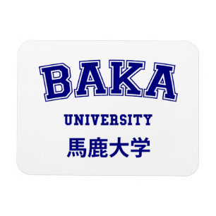 ÍMAN UNIVERSIDADE BAKA