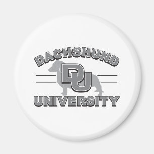 Íman Universidade Dachshund