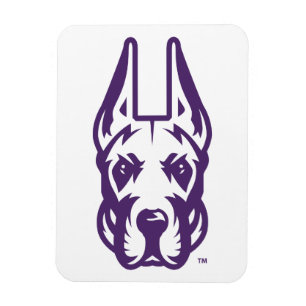 Íman Universidade de Albany Great Dane Mascot Head
