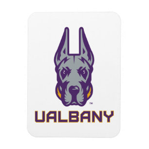 Íman Universidade de Albany Great Danes
