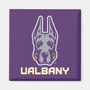 Íman Universidade de Albany Great Danes