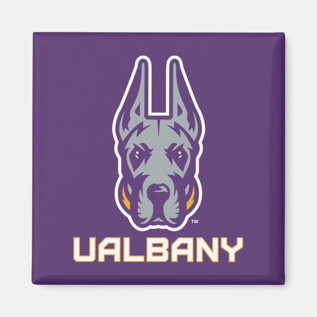 Íman Universidade de Albany Great Danes (Frente)
