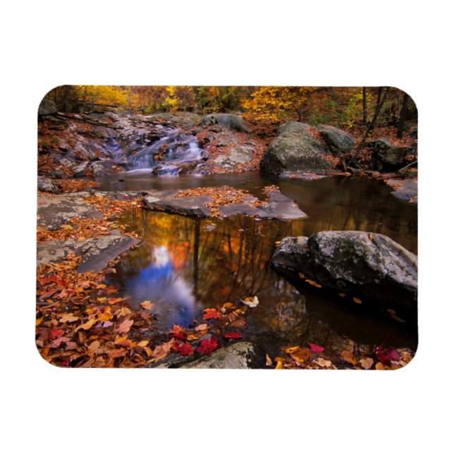 Íman Upper Whiteoak Falls, Parque Nacional de Shenandoa (Horizontal)