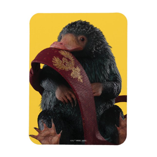 Íman Ursinho Com Gráfico De Gravação (Vertical)