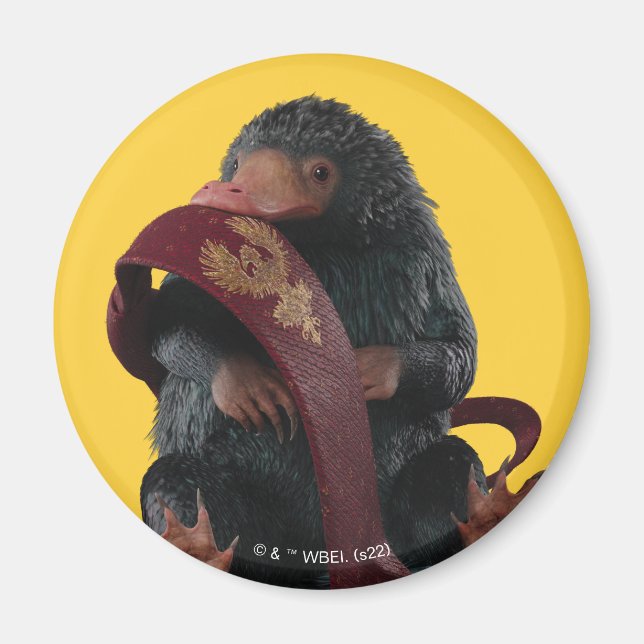 Íman Ursinho Com Gráfico De Gravação (Frente)