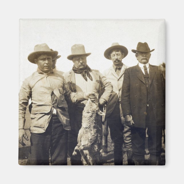 Íman Ursinho Roosevelt Wolf Hunting, 1905 (Frente)