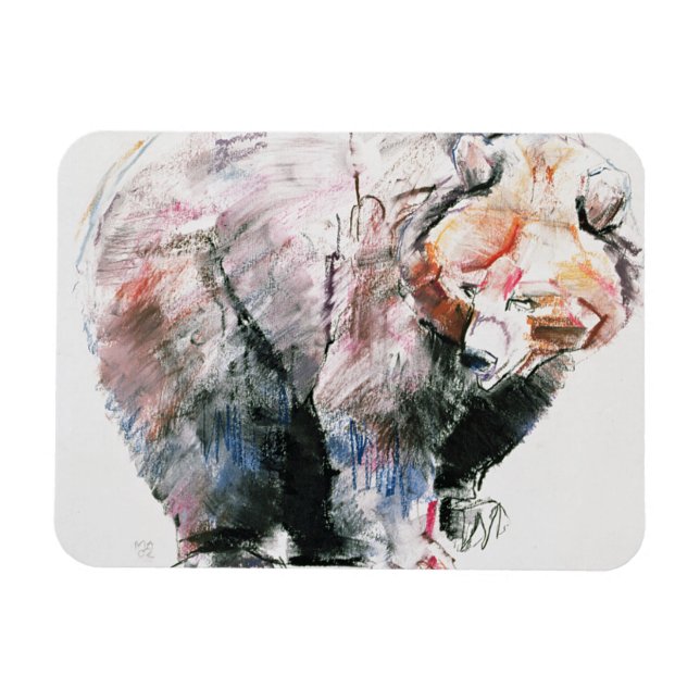 Íman Urso (Horizontal)