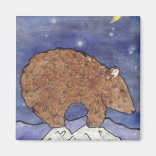 Íman Urso da Meia-Noite