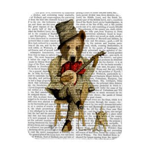 Íman Urso de Banjo