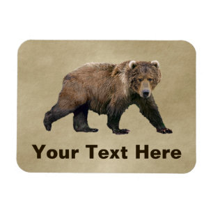 Íman Urso de Kodiak