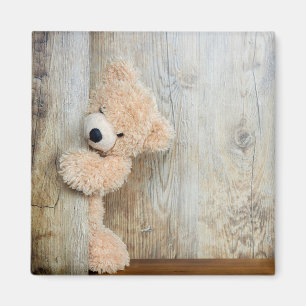Íman Urso de Pelúcia
