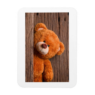 Íman Urso de Pelúcia Adorável Aniversário Infantil Salv