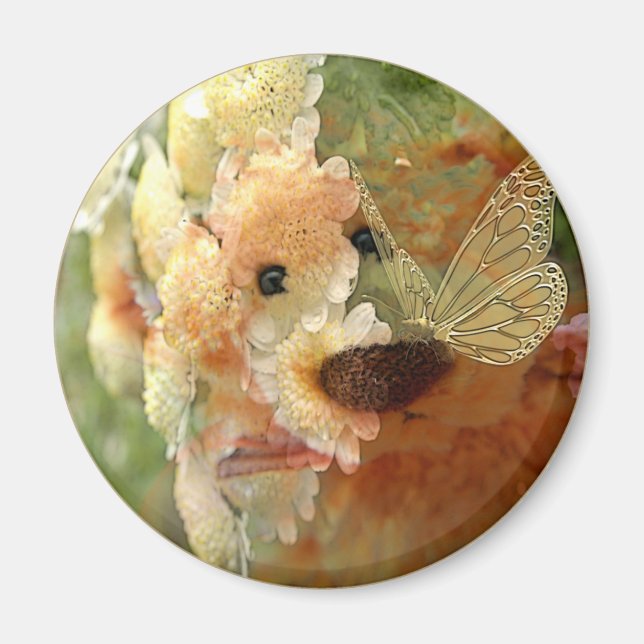 Íman Urso de Teddy (Frente)