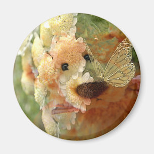 Íman Urso de ursinho