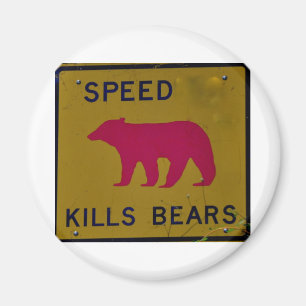 Íman urso dos matares da velocidade
