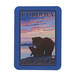 Íman Urso e Cub - Cordova, Alaska
