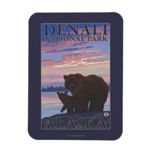 Íman Urso e Cub - Parque Nacional Denali, Alasca