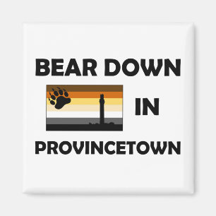 Íman Urso Em Provincetown
