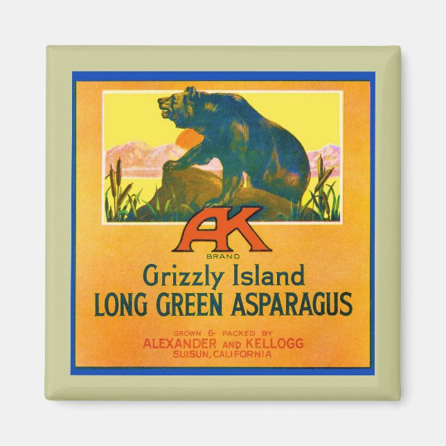 Íman Urso Grizzly (Frente)