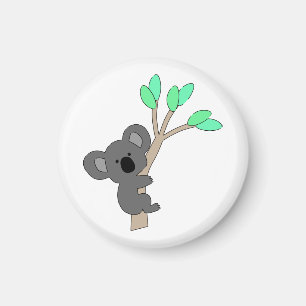 Íman Urso Koala