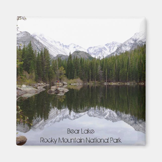 Íman Urso Lago Rocky Mountain National Park Magnet (Frente)