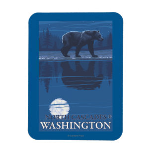 Íman Urso no luar - cascatas nortes, Washington