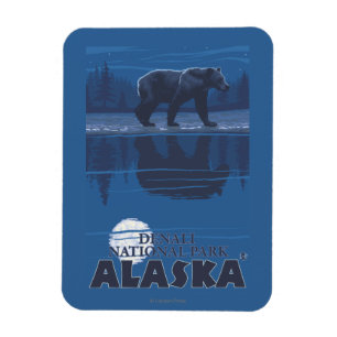 Íman Urso no luar - parque nacional de Denali, Alaska