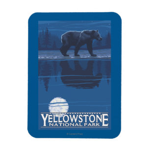 Íman Urso no luar - parque nacional de Yellowstone