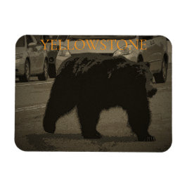 Íman Urso no Parque Nacional da Estrada Yellowstone WY
