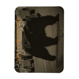 Íman Urso no Parque Nacional da Estrada Yellowstone WY