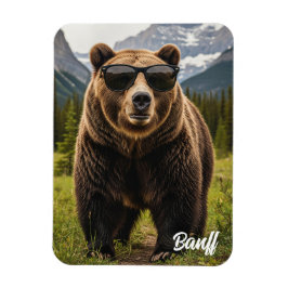 Íman Urso no Sunglass Banff National Park Canadá