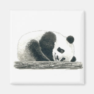 Íman Urso Panda