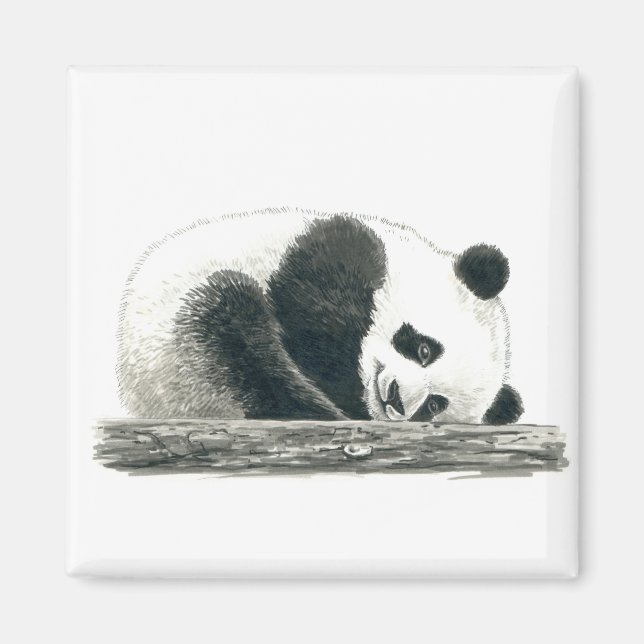 Íman Urso Panda (Frente)