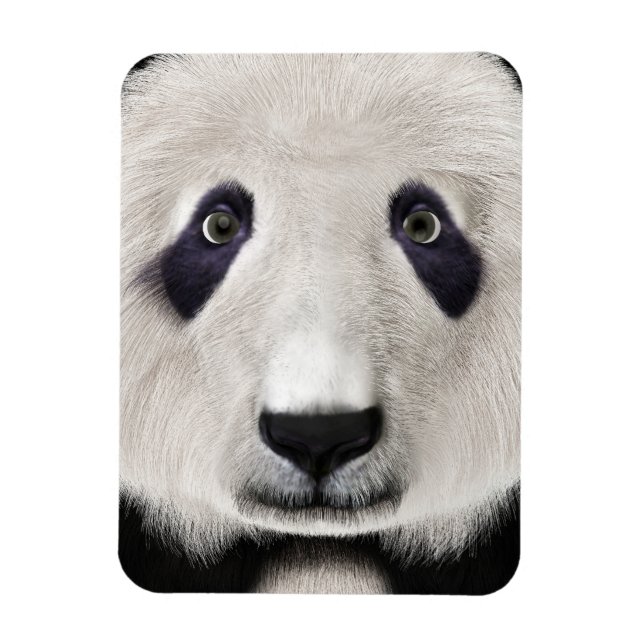 Íman Urso Panda (Vertical)