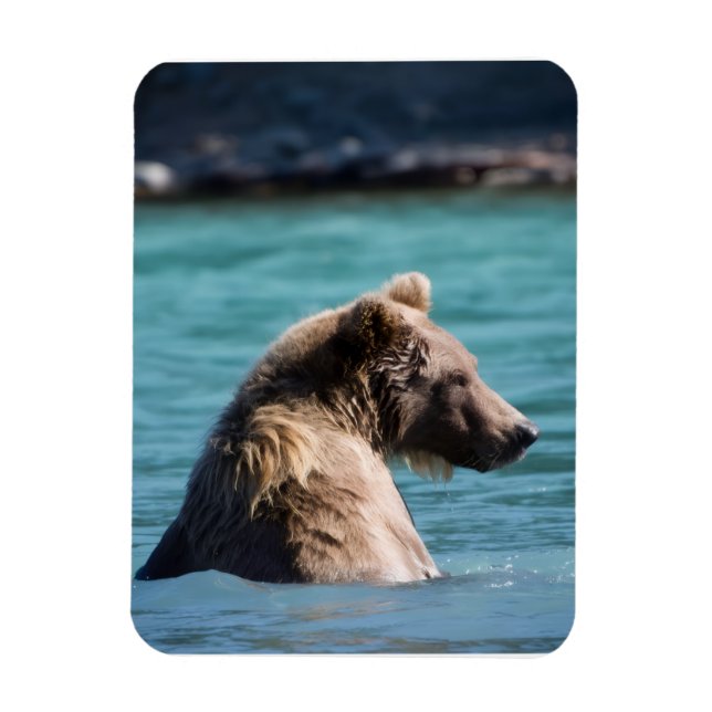 Íman Urso Pardo Majestoso do Alasca (Vertical)