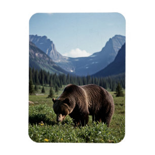 Íman Urso Pardo no Parque Nacional Glacier Travel