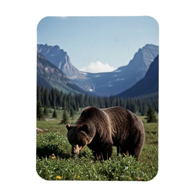 Íman Urso Pardo no Parque Nacional Glacier Travel (Vertical)