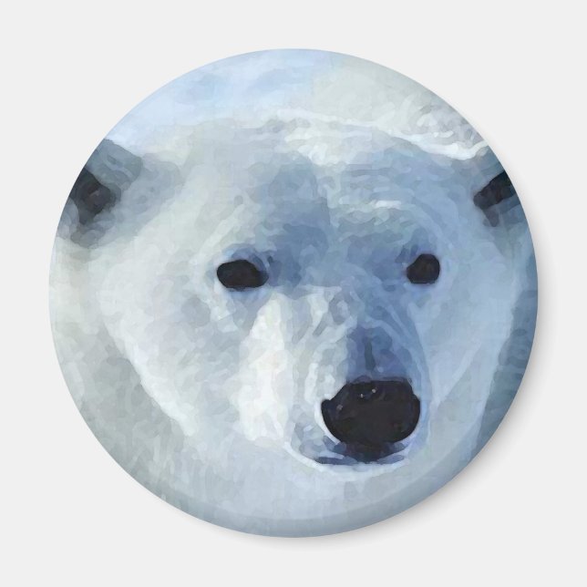 Íman Urso Polar (Frente)
