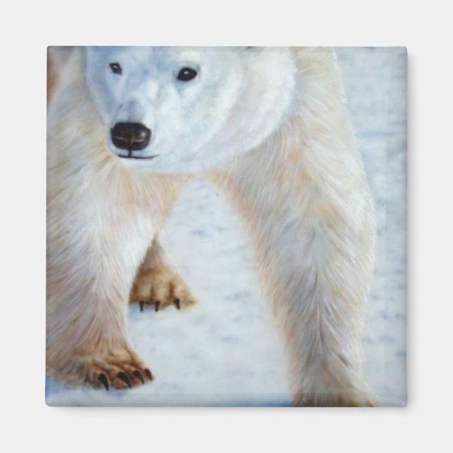 Íman Urso Polar (Frente)