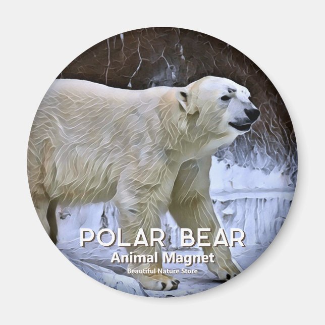 Íman Urso Polar (Frente)